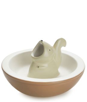 Snack Tray Hungry Squirrel